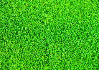 Image showing Artificial grass