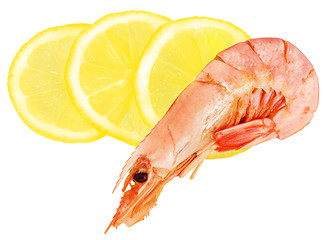 Image showing Boiled shrimp