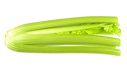 Image showing Fresh ripe celery