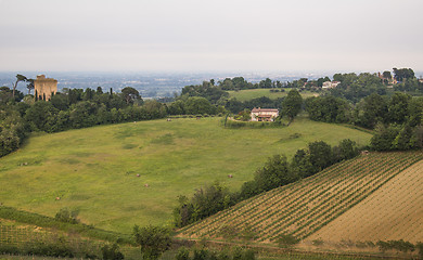 Image showing Emilia Romagna countryside view