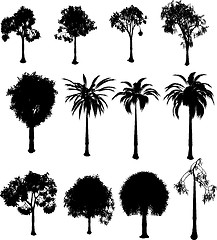 Image showing silhouette trees