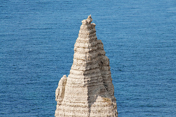 Image showing Alabaster coast Normandy