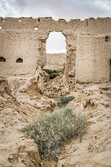 Image showing Buildings Oasis Al Haway