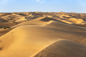 Image showing Desert Wahiba Oman