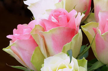 Image showing Yellow Pink Roses