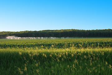 Image showing Irrigation