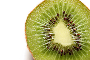 Image showing kiwi