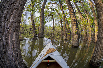 Image showing paddling through a magic forest