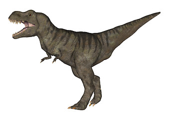 Image showing Tyrannosaurus Rex