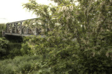 Image showing White flowers on green treesalong railroad