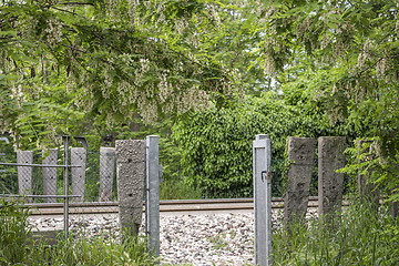 Image showing White flowers on on gates to railroad