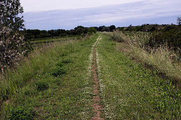 Image showing Walking road in the countryside