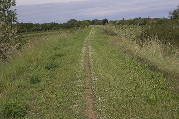 Image showing Walking road in the countryside