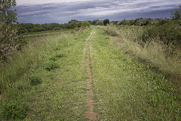 Image showing Walking road in the countryside