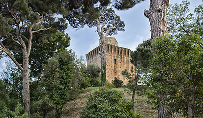 Image showing Medieval Tower in Oriolo dei Fichi 