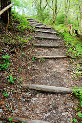 Image showing Stairs