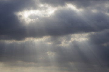 Image showing Rays of the Sun