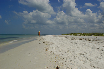 Image showing along the beach