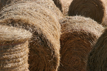 Image showing hay bales