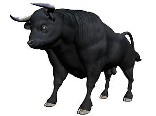 Image showing Bull