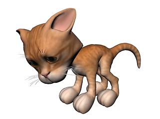 Image showing Cat