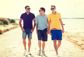 Image showing group of friends walking on the beach