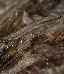 Image showing skirt steak