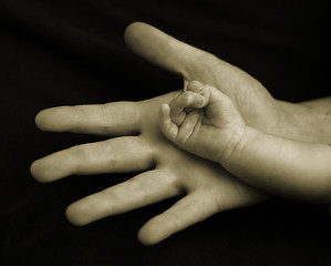 Image showing Hand in hand