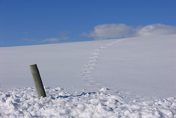 Image showing Winter in Norway