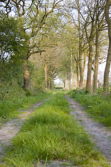 Image showing Tracked path through rural landscape