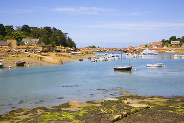 Image showing Harbor in Ploumanach, Brittany, France