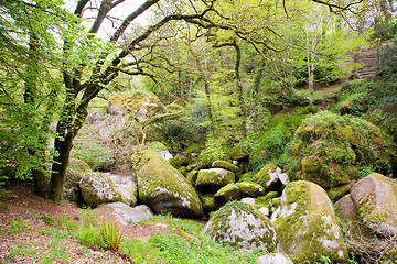 Image showing Boulders at Huelgoat in Brittany, France 