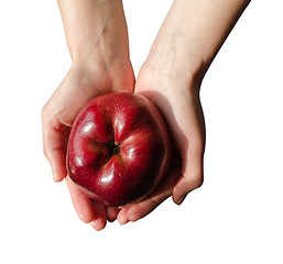 Image showing red ripe apple on woman palms 