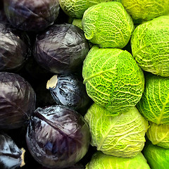 Image showing Red and savoy cabbage