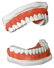 Image showing Medical Dentures