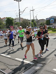 Image showing Belgrade Marathon 2014.