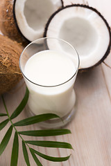 Image showing coconut fruit with coco milk