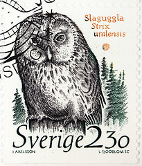 Image showing Ural Owl Stamp