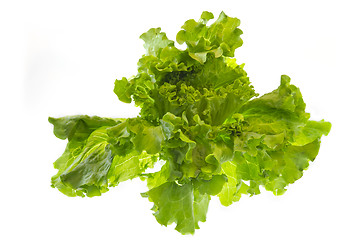 Image showing Green salad