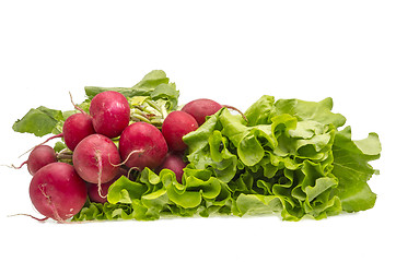 Image showing Radish and salad