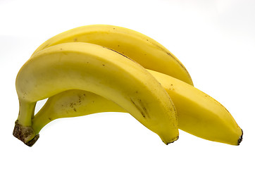 Image showing Bananas