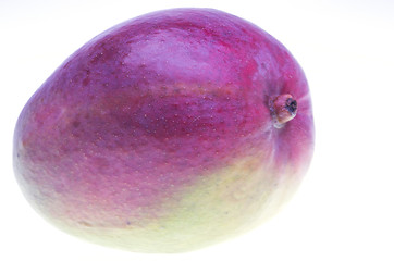 Image showing Mango