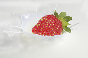 Image showing Strawberry in milk