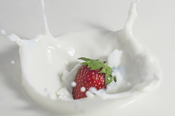 Image showing Strawberry in milk