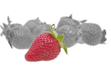 Image showing Genetically strawberry concept