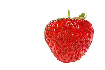 Image showing Strawberry isolated