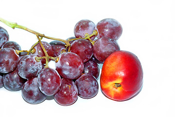 Image showing Grapes and nectarine