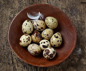 Image showing quail eggs