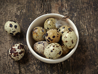 Image showing quail eggs