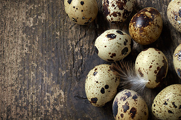 Image showing quail eggs